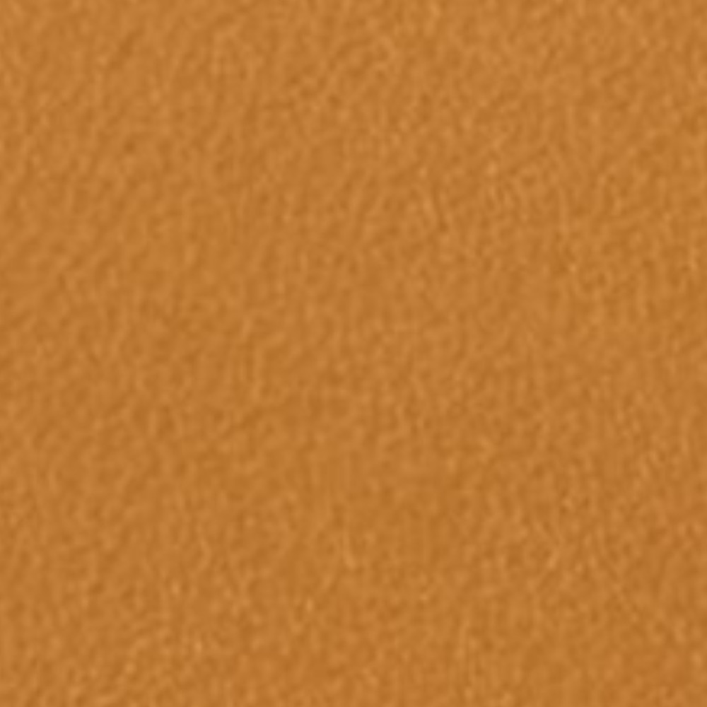 Ted Baker | Tan Leather Card Holder UNISEX NWT - Picture 3 of 8